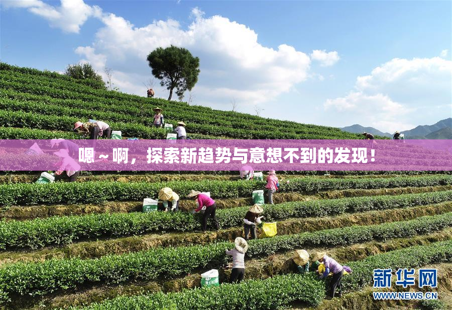 嗯～啊，探索新趋势与意想不到的发现！