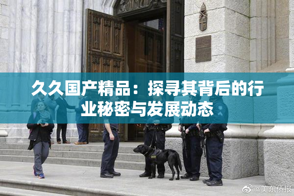久久国产精品：探寻其背后的行业秘密与发展动态