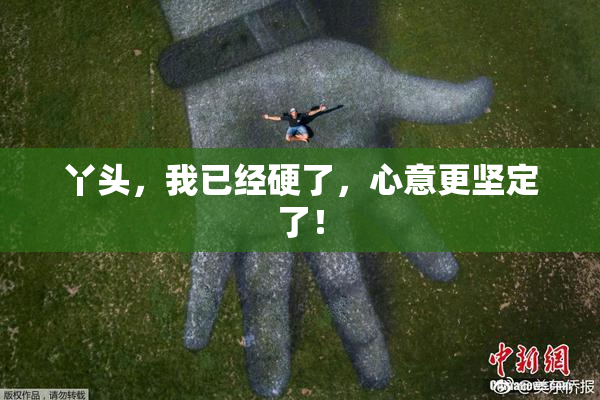 丫头，我已经硬了，心意更坚定了！
