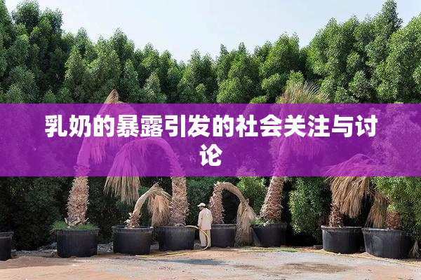 乳奶的暴露引发的社会关注与讨论