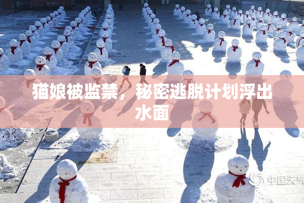 猫娘被监禁，秘密逃脱计划浮出水面