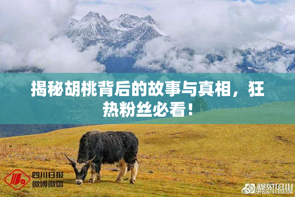 揭秘胡桃背后的故事与真相，狂热粉丝必看！