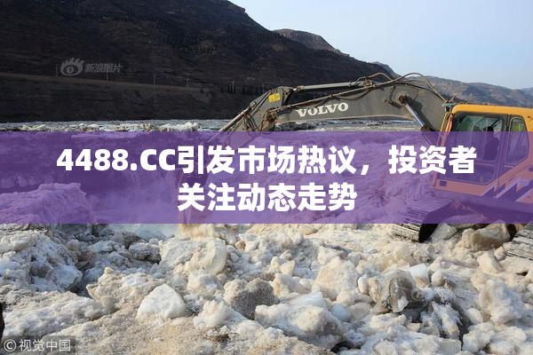 4488.CC引发市场热议，投资者关注动态走势