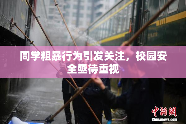 同学粗暴行为引发关注，校园安全亟待重视
