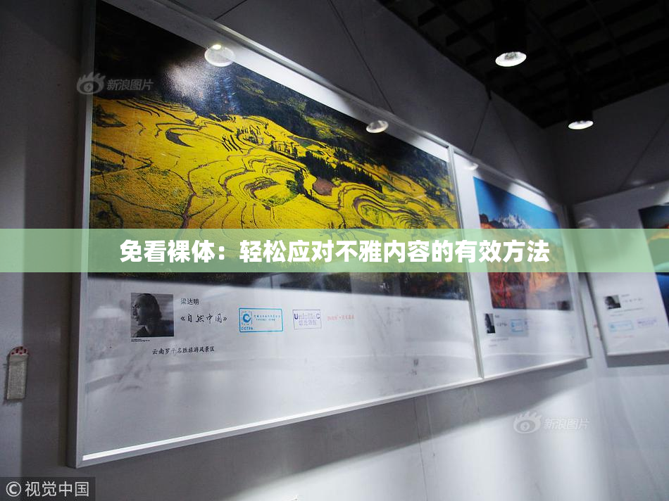 免看裸体：轻松应对不雅内容的有效方法