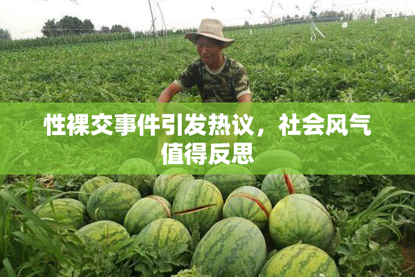 性裸交事件引发热议，社会风气值得反思