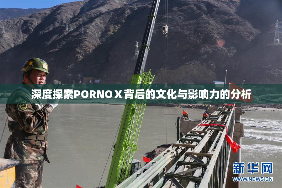 深度探索PORNOⅩ背后的文化与影响力的分析