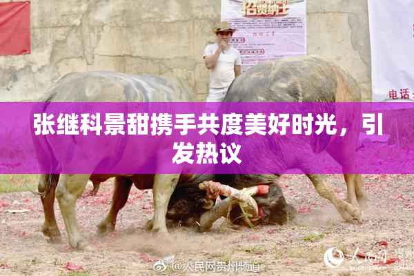 张继科景甜携手共度美好时光，引发热议