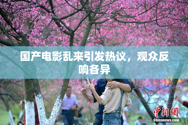 国产电影乱来引发热议，观众反响各异