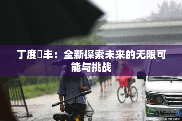 丁度巜丰：全新探索未来的无限可能与挑战