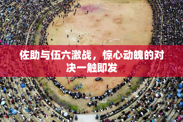 佐助与伍六激战，惊心动魄的对决一触即发
