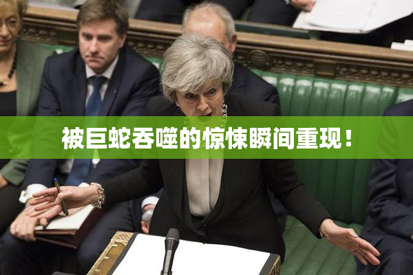 被巨蛇吞噬的惊悚瞬间重现！