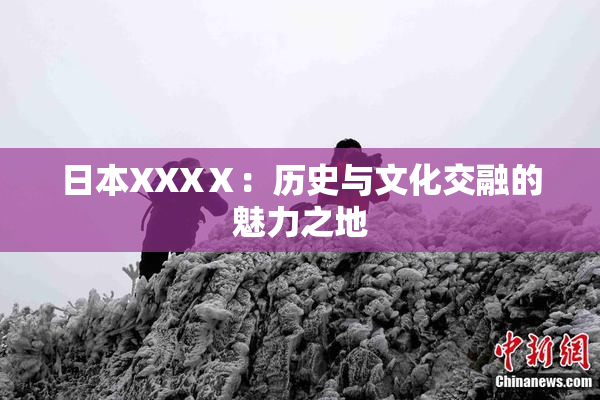 日本XXXⅩ：历史与文化交融的魅力之地