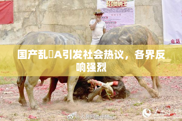 国产乱婬A引发社会热议，各界反响强烈