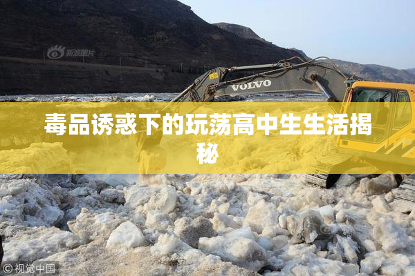 毒品诱惑下的玩荡高中生生活揭秘