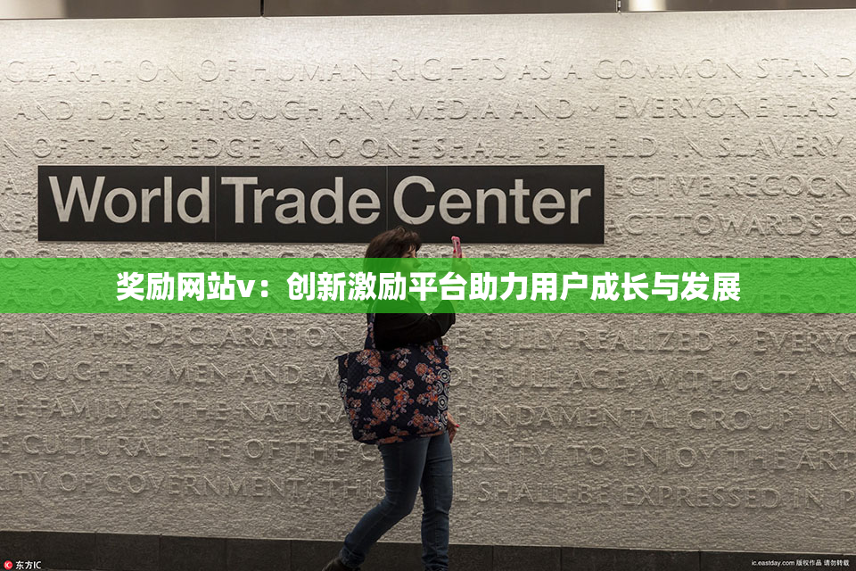 奖励网站v：创新激励平台助力用户成长与发展