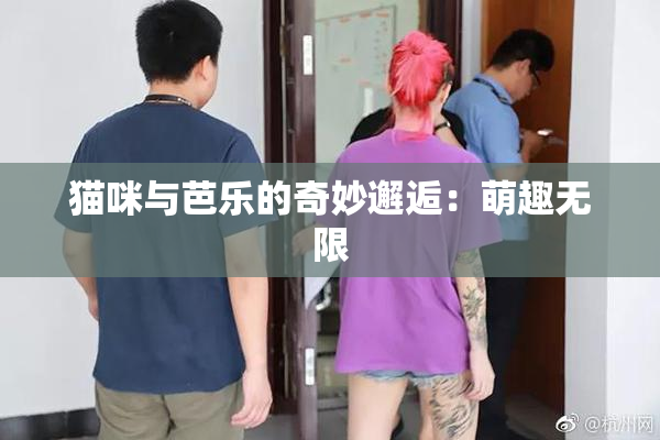 猫咪与芭乐的奇妙邂逅：萌趣无限