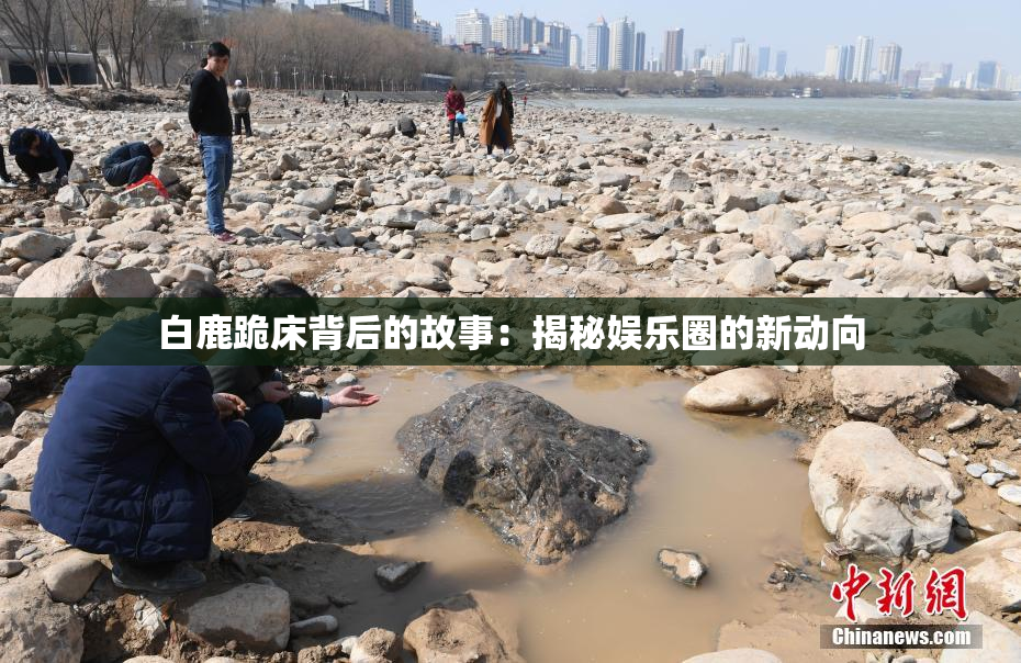 白鹿跪床背后的故事：揭秘娱乐圈的新动向