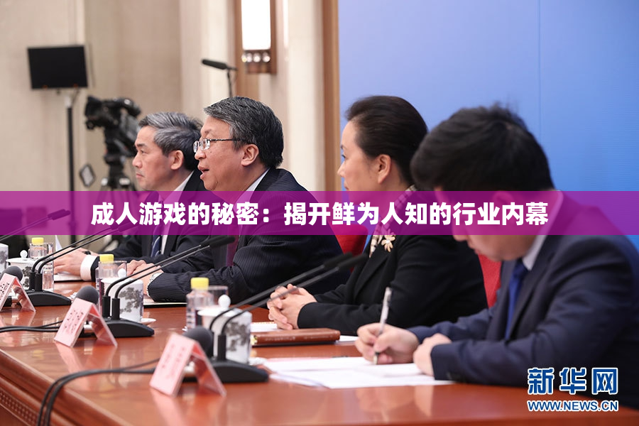 成人游戏的秘密：揭开鲜为人知的行业内幕