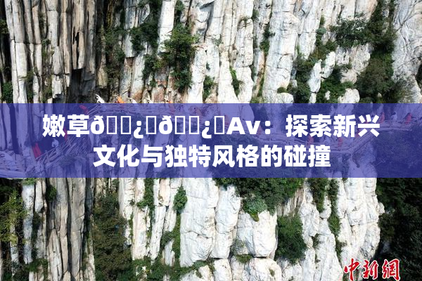 嫩草🌿‌🌿‌Av：探索新兴文化与独特风格的碰撞