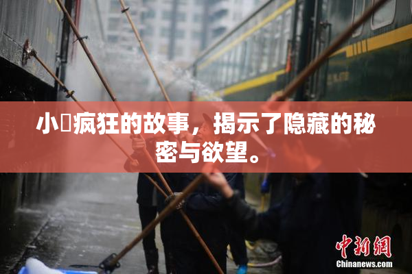 小泬疯狂的故事，揭示了隐藏的秘密与欲望。