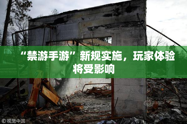 “禁游手游”新规实施，玩家体验将受影响