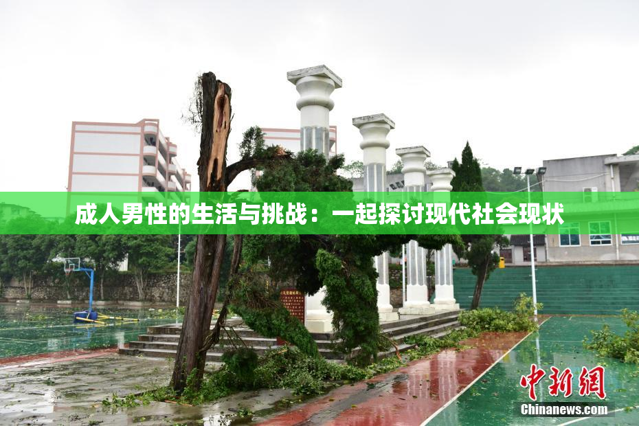 成人男性的生活与挑战：一起探讨现代社会现状