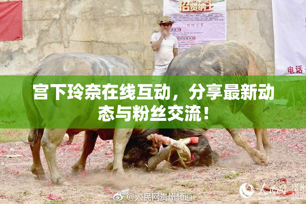 宫下玲奈在线互动，分享最新动态与粉丝交流！