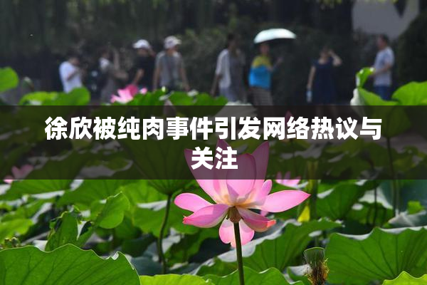 徐欣被纯肉事件引发网络热议与关注