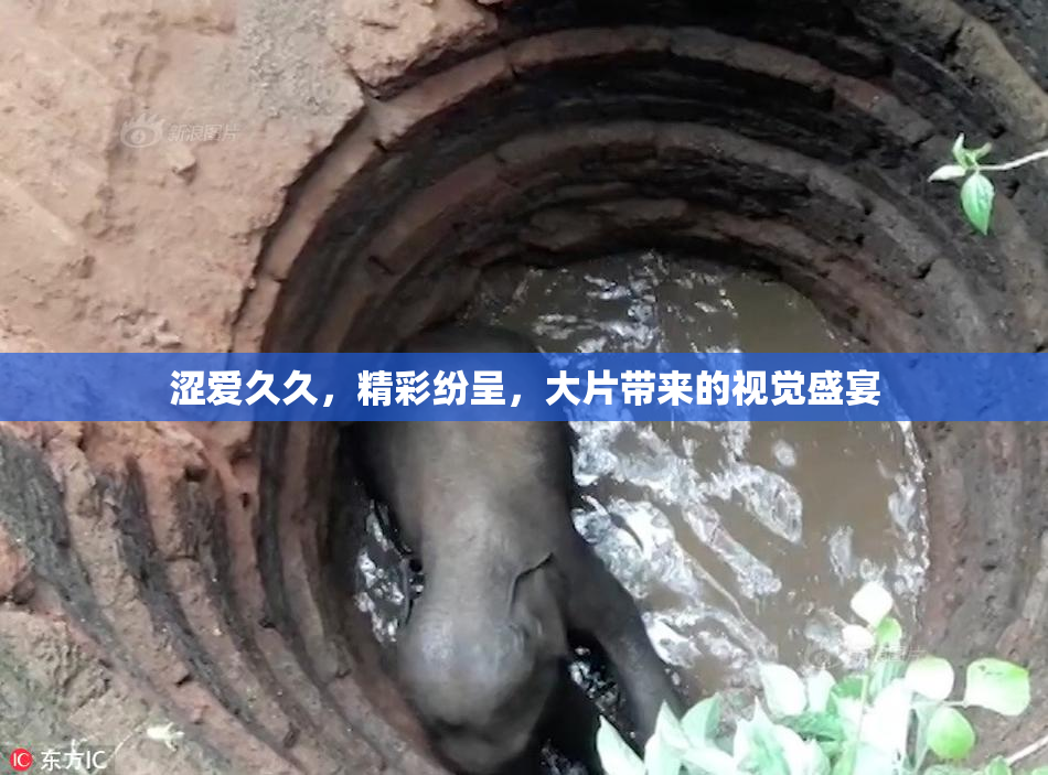 涩爱久久，精彩纷呈，大片带来的视觉盛宴