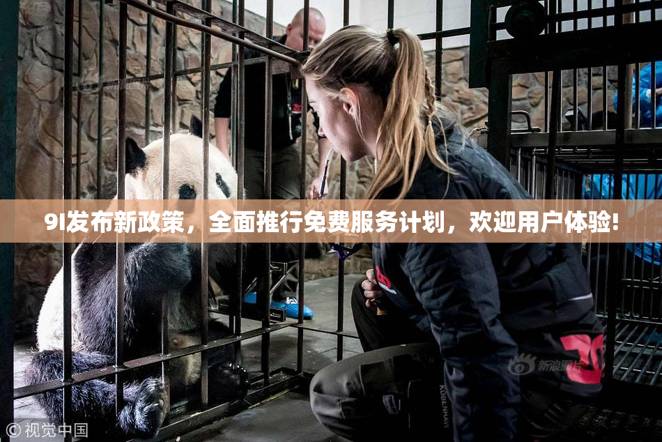 9I发布新政策，全面推行免费服务计划，欢迎用户体验!