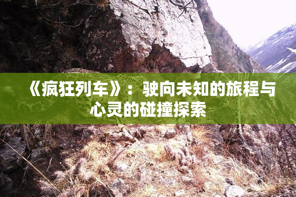 《疯狂列车》：驶向未知的旅程与心灵的碰撞探索