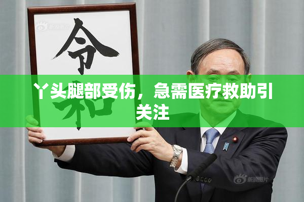 丫头腿部受伤，急需医疗救助引关注