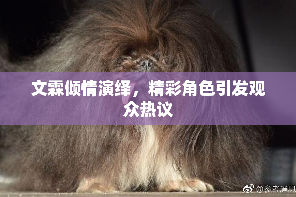 文霖倾情演绎，精彩角色引发观众热议