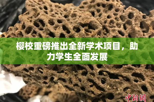 樱校重磅推出全新学术项目，助力学生全面发展