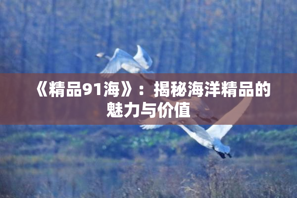 《精品91海》：揭秘海洋精品的魅力与价值