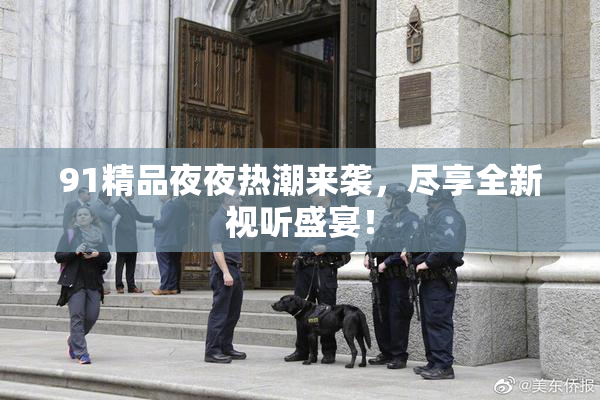 91精品夜夜热潮来袭，尽享全新视听盛宴！