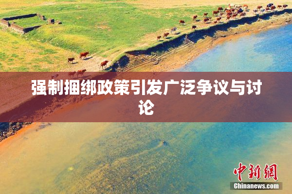 强制捆绑政策引发广泛争议与讨论