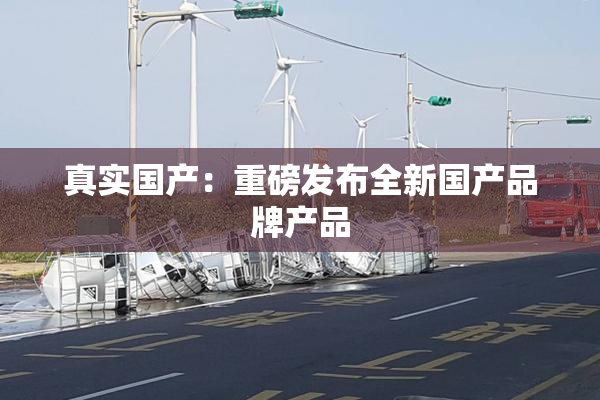 真实国产：重磅发布全新国产品牌产品
