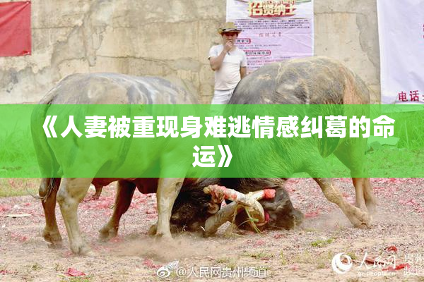 《人妻被重现身难逃情感纠葛的命运》