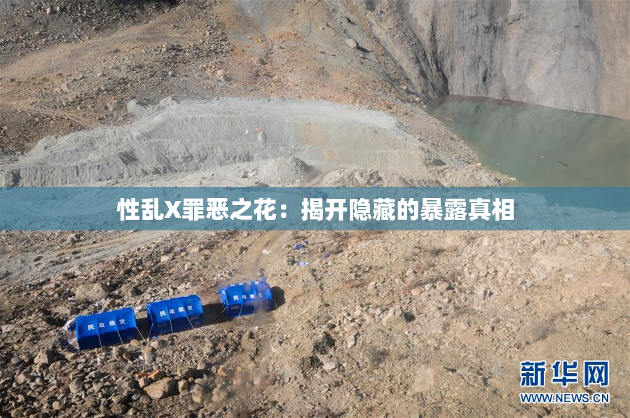 性乱X罪恶之花：揭开隐藏的暴露真相