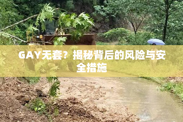 GAY无套？揭秘背后的风险与安全措施