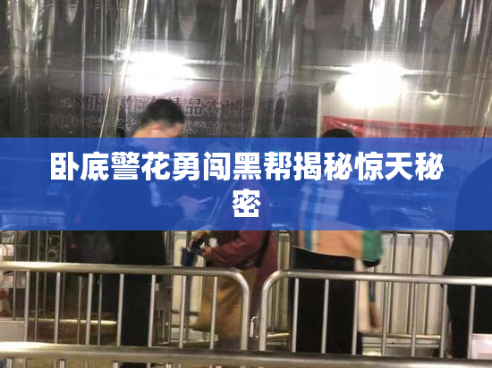 卧底警花勇闯黑帮揭秘惊天秘密