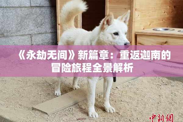 《永劫无间》新篇章：重返迦南的冒险旅程全景解析