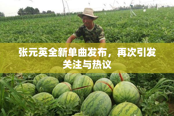 张元英全新单曲发布，再次引发关注与热议