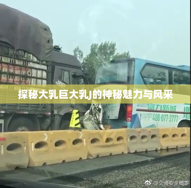 探秘大乳巨大乳J的神秘魅力与风采
