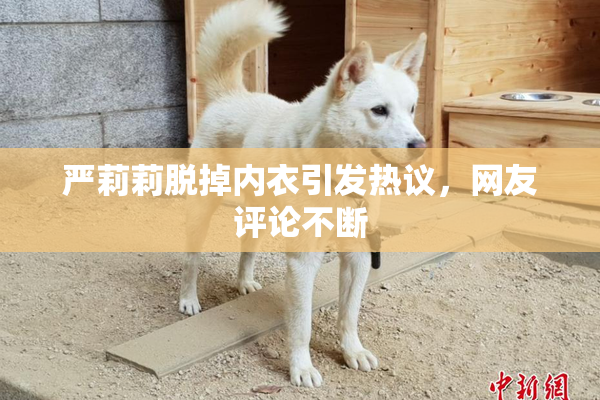 严莉莉脱掉内衣引发热议，网友评论不断