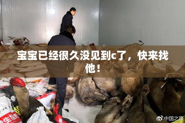 宝宝已经很久没见到c了，快来找他！