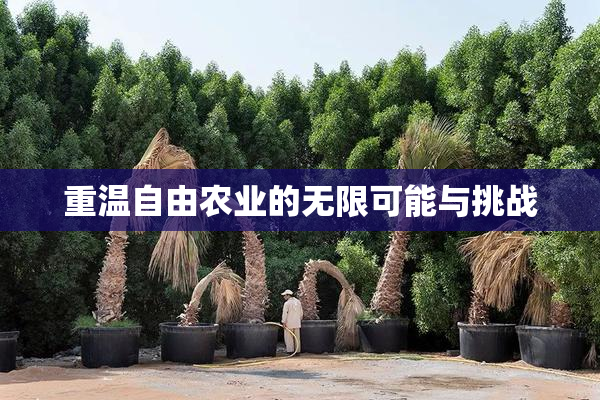 重温自由农业的无限可能与挑战