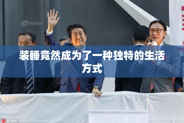 装睡竟然成为了一种独特的生活方式